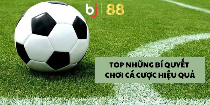 Kèo Châu Á Là Gì? Bí Quyết Cá Cược Đạt Hiệu Quả Cao Nhất Top những bí quyết chơi cá cược hiệu quả