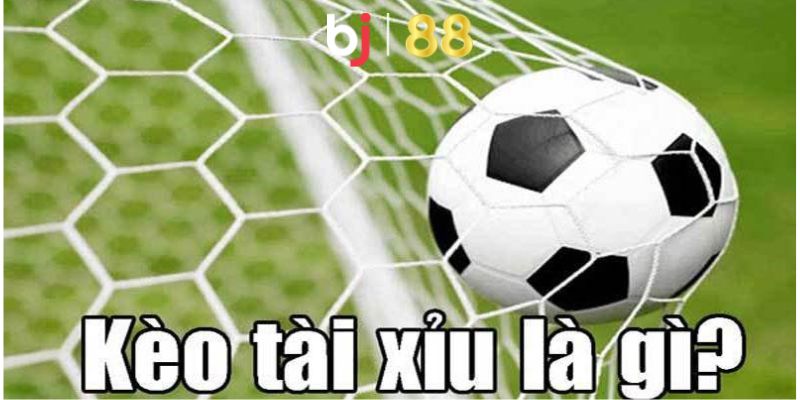 Kèo Tài Xỉu Là Gì? Cách Chơi Và Cách Đọc Cá Cược Tài Xỉu Kèo cá cược tài xỉu là gì?